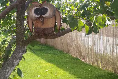 Pomůžu Vám s okrasným trávníkem Pomůžu Vám s okrasným trávníkem