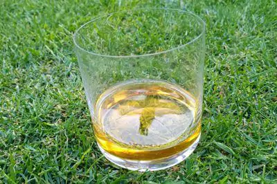 Chcete reprezentativní trávník? Chcete reprezentativní trávník?